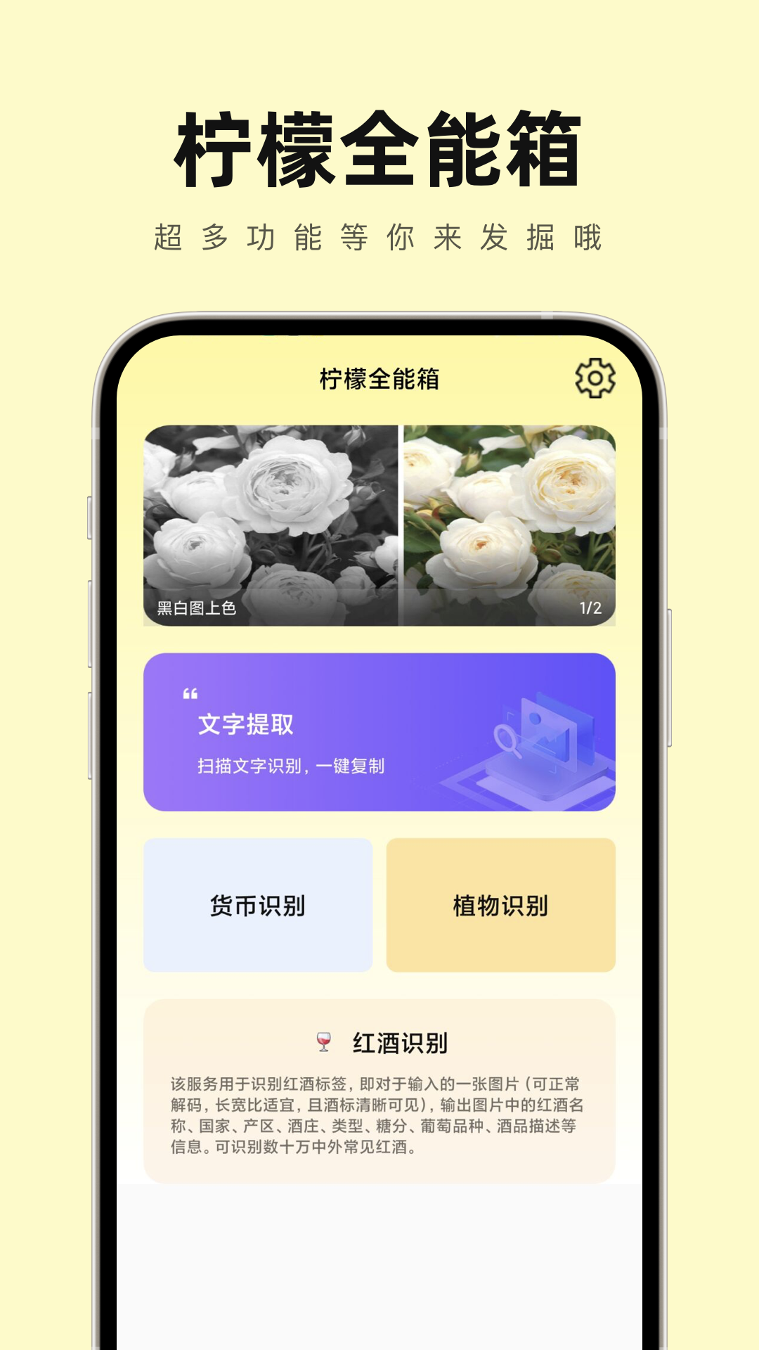 柠檬全能箱.png