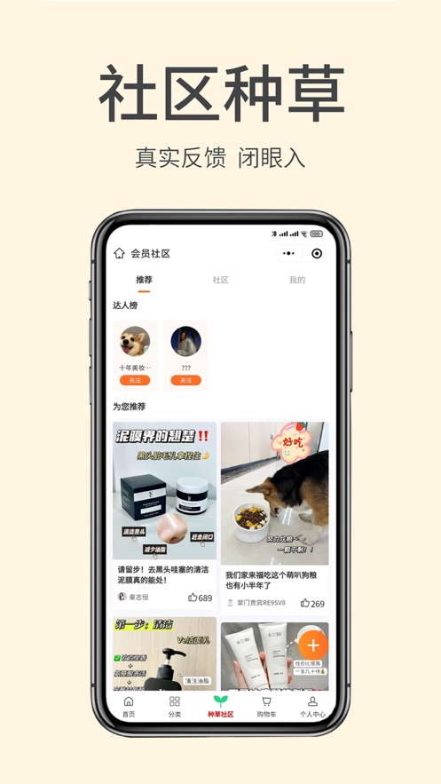 掌门初品jpg
