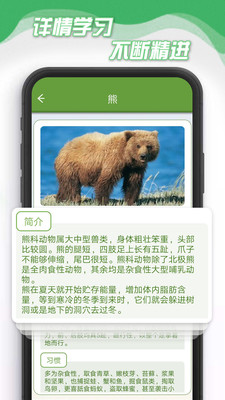 小熊削削削(3)