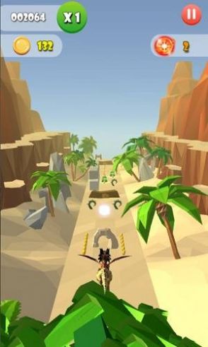 飞龙奔跑.jpg