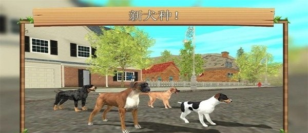 城市狗狗模拟生存.jpg