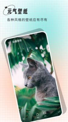 清壁纸(3)