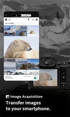 FUJIFILM X(1)
