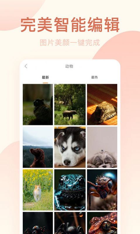 轻氧相机(1)