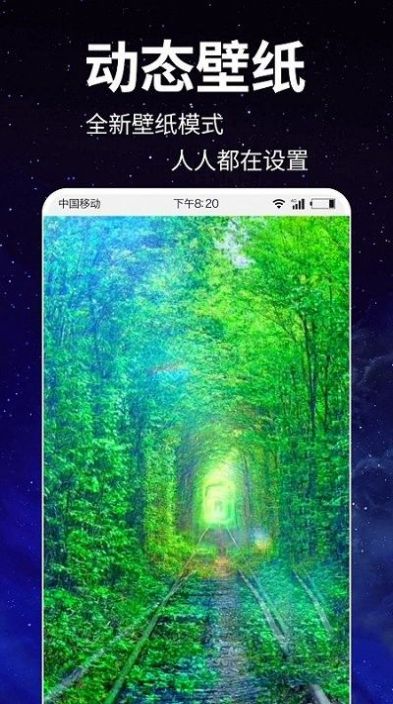 动态壁纸4k(1)