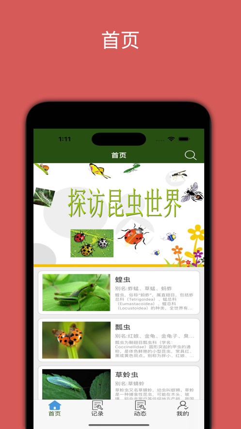 昆虫百科(2)
