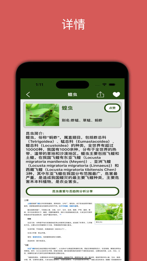 昆虫百科(3)