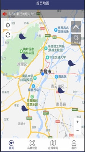 图音识鸟.jpg