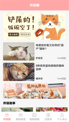 遇见我的猫(3)