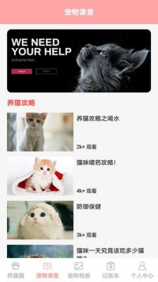 遇见我的猫(1)