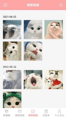 遇见我的猫(2)
