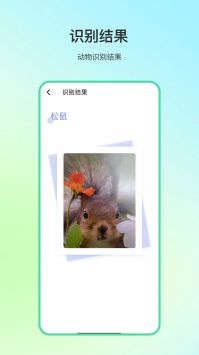 动物百科(3)