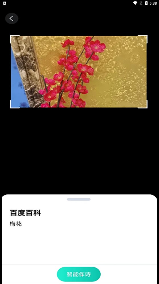 趣萌识别.jpg