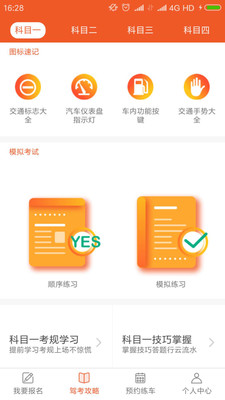 鹦鹉学车.jpg