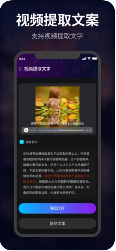 魔法视频加字幕.jpg