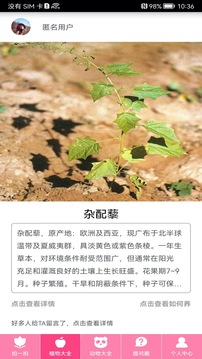 万能拍照识物免费版.jpg
