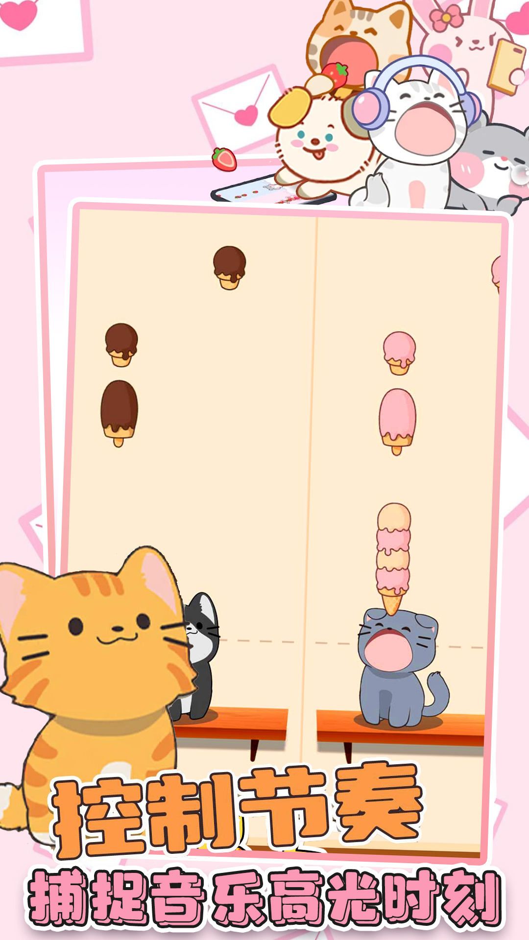 猫咪音乐双重奏.jpg