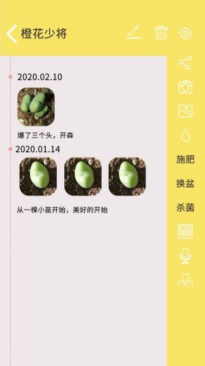 月亮多肉日记.jpg