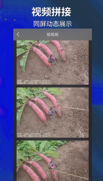 爱编辑剪辑师.jpg