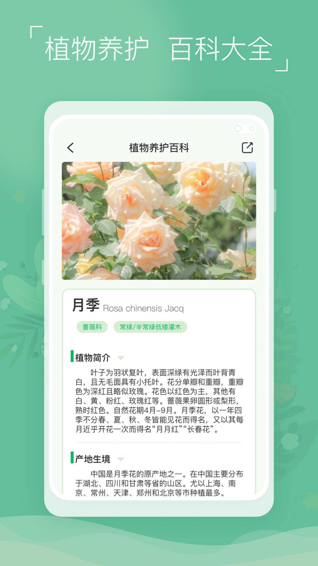 植物识别宝.jpg