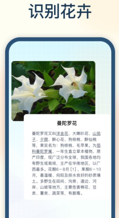 试卷星识别(3)