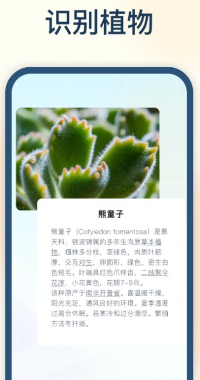 试卷星识别.jpg