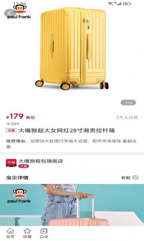 满益猫.jpg