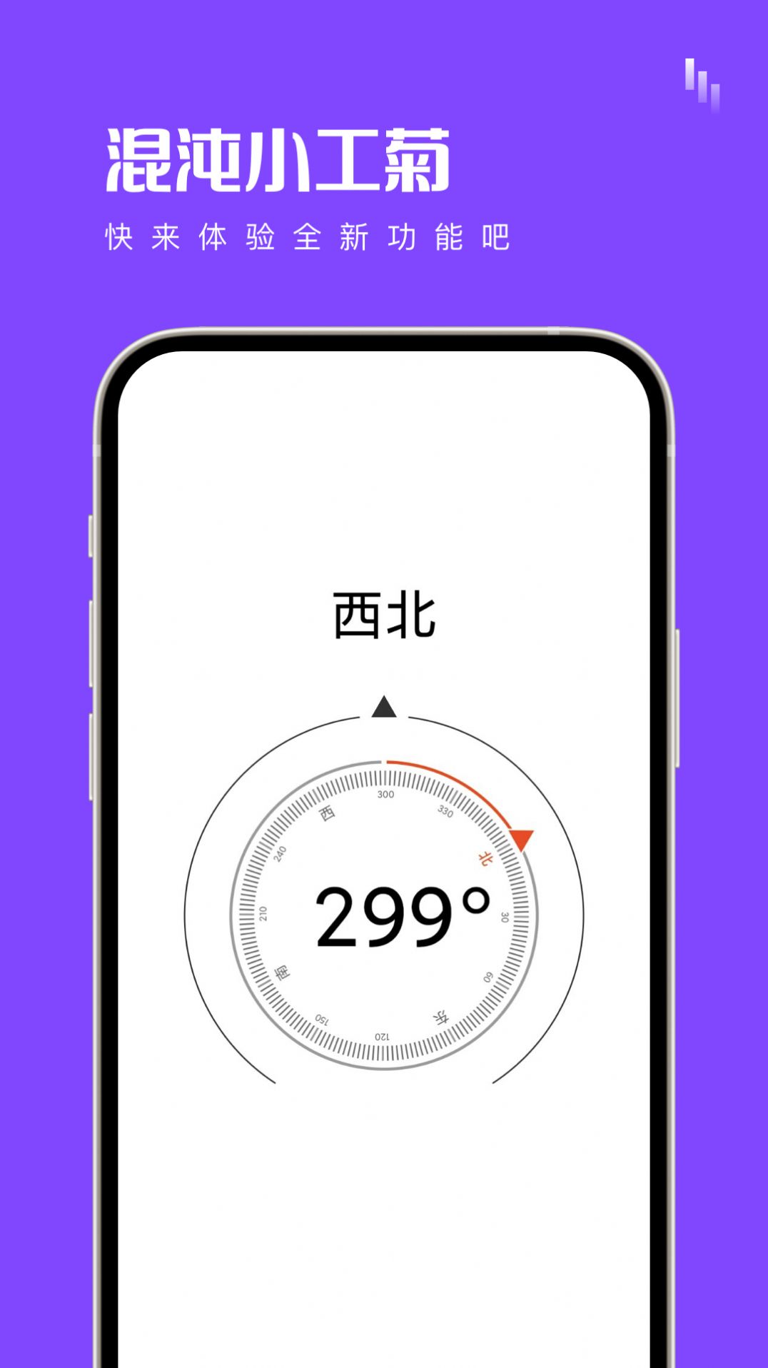 混沌小工菊(1)