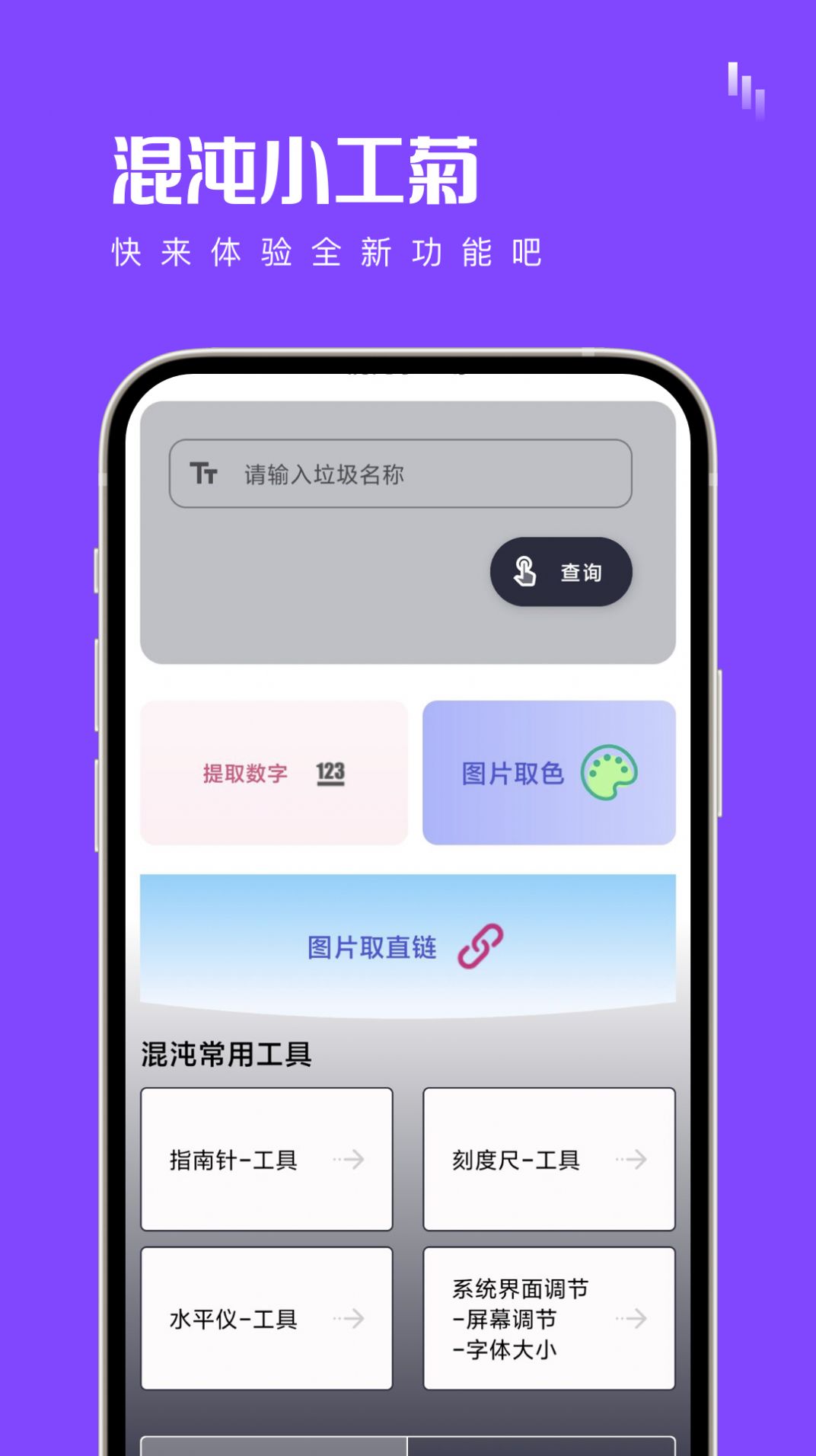 混沌小工菊(2)