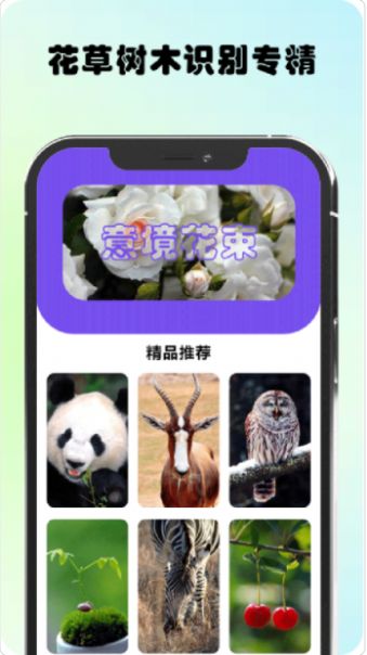万物识图高手(3)