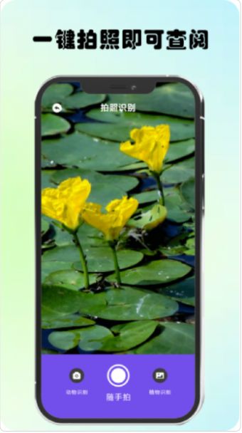 万物识图高手.jpg