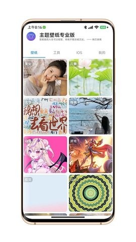 汇飞主题壁纸.jpg