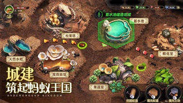 小小蚁国无限资源版(4)