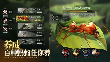 小小蚁国无限资源版(1)