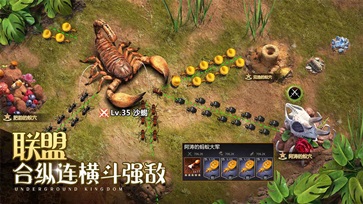小小蚁国无限资源版(3)