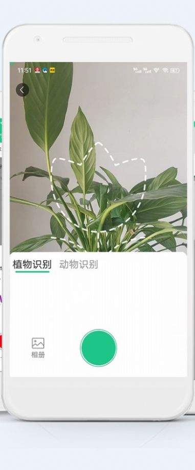 生物多样性.jpg