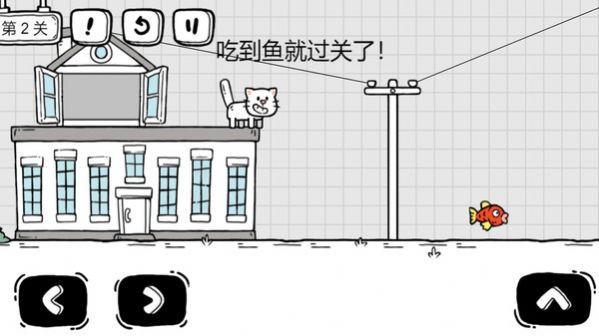 茶叶蛋大解谜.jpg