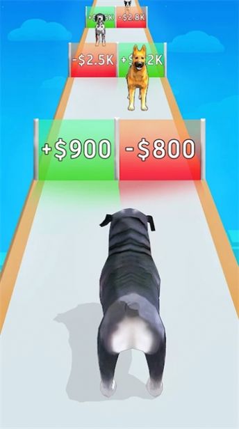 狗狗进化跑酷.jpg