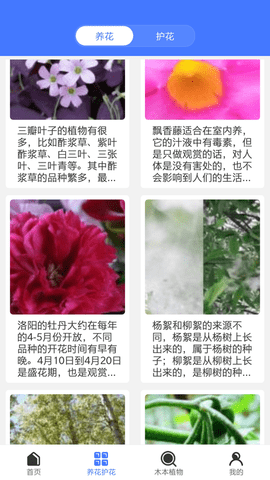 好用拍照识别.png