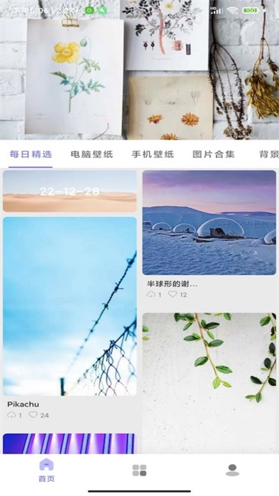 派上壁纸.png