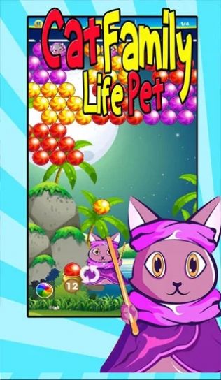 猫咪家庭生活宠物.jpg