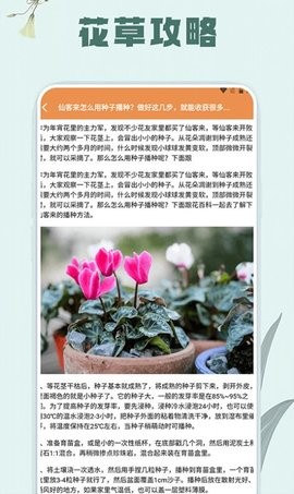 花草录植物识别.jpg