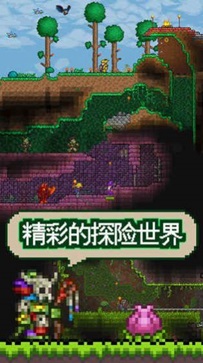 泰拉瑞亚无敌版(2)