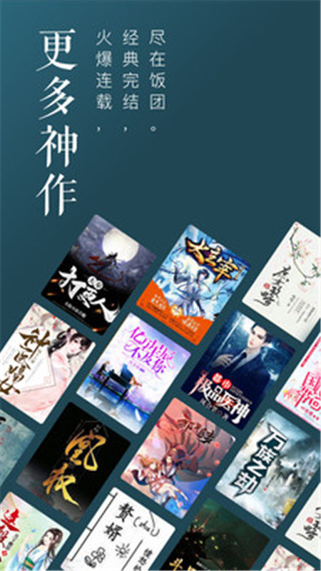 饭团追书老版本 (1)