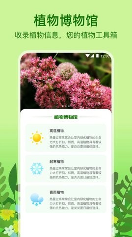 植物天气.jpg