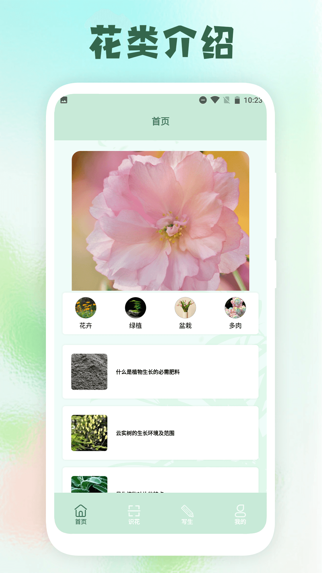 开心花园踏青.png