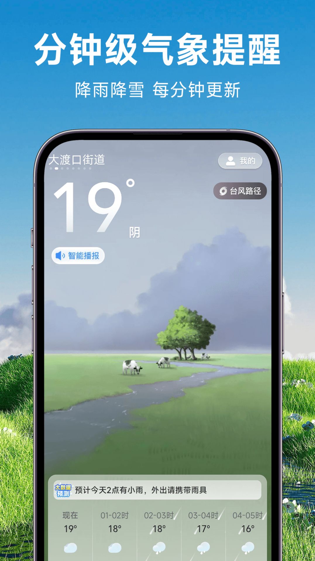 理想天气.jpg