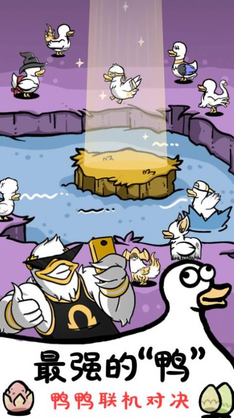 神奇的鸭子.jpg