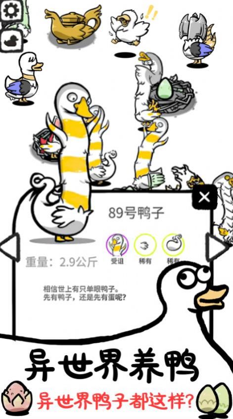 神奇的鸭子.jpg