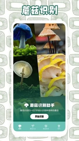蘑菇识别助手.jpg